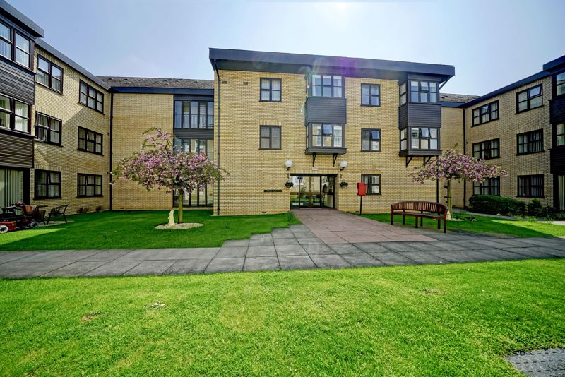 Main Image